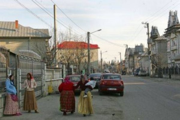 Un om de afaceri din Strehaia a prejudiciat statul cu aproximativ 6,4 milioane lei